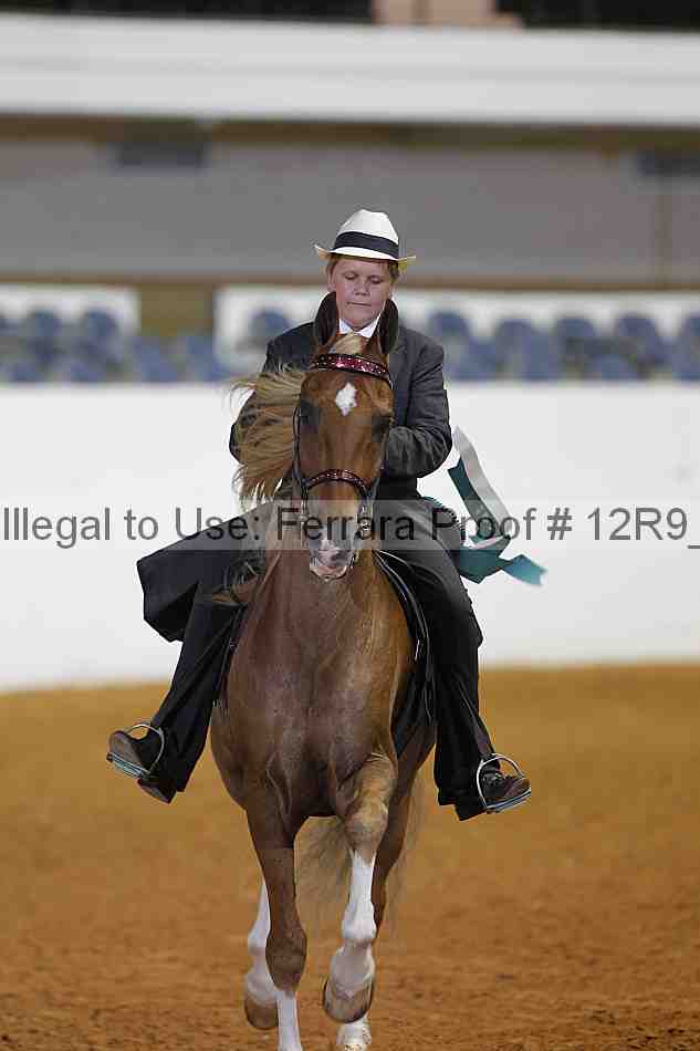 Proof Number 12r9_3904