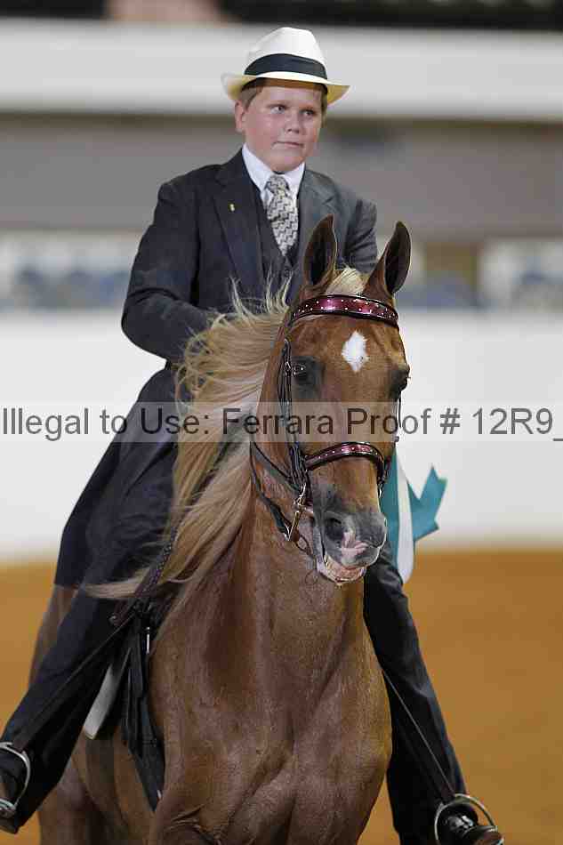 Proof Number 12r9_3905