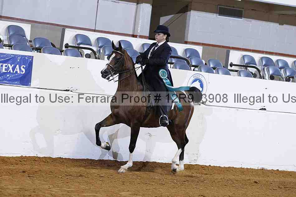 Proof Number 12r9_3908