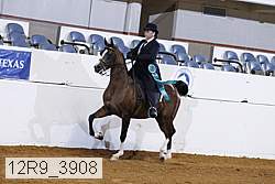 12r9_3908 thumbnail