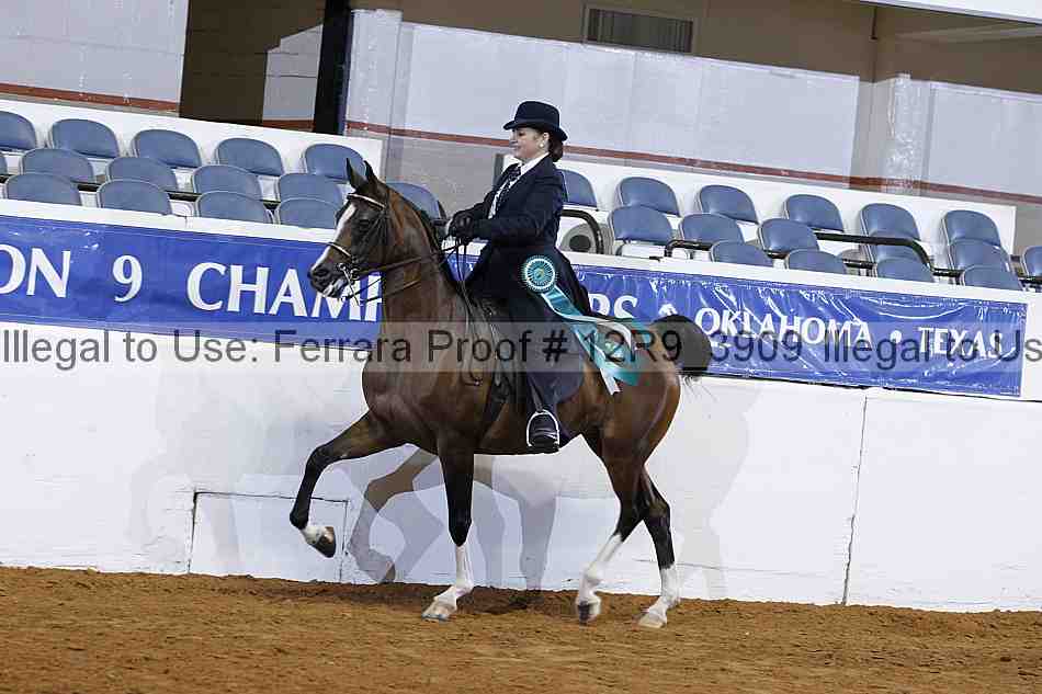 Proof Number 12r9_3909