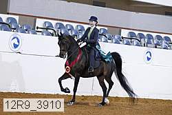12r9_3910 thumbnail