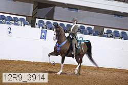 12r9_3914 thumbnail