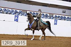12r9_3915 thumbnail