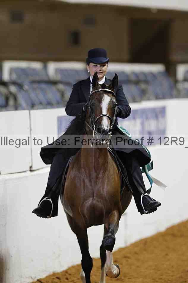 Proof Number 12r9_3917