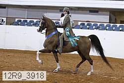 12r9_3918 thumbnail