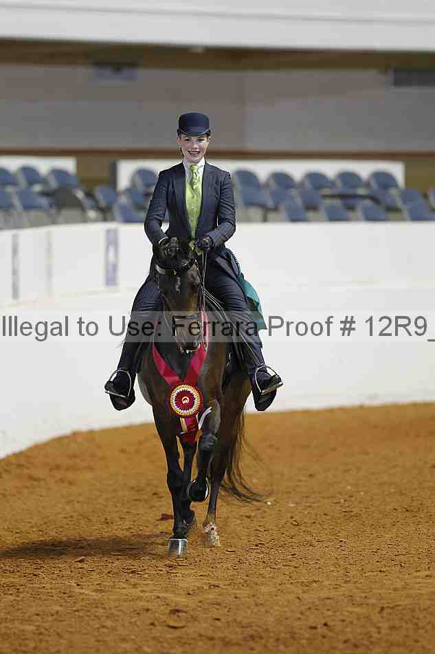 Proof Number 12r9_3919