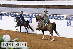 12r9_3920 thumbnail