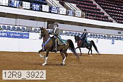12r9_3922 thumbnail