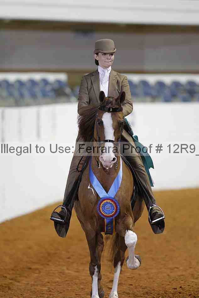 Proof Number 12r9_3923