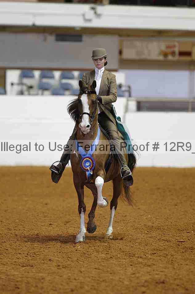 Proof Number 12r9_3925