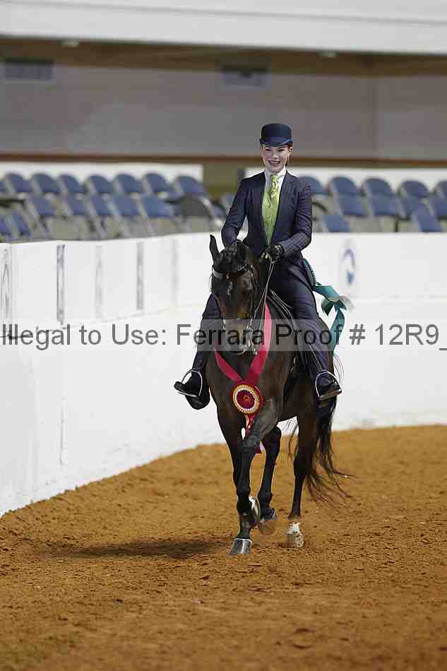Proof Number 12r9_3926