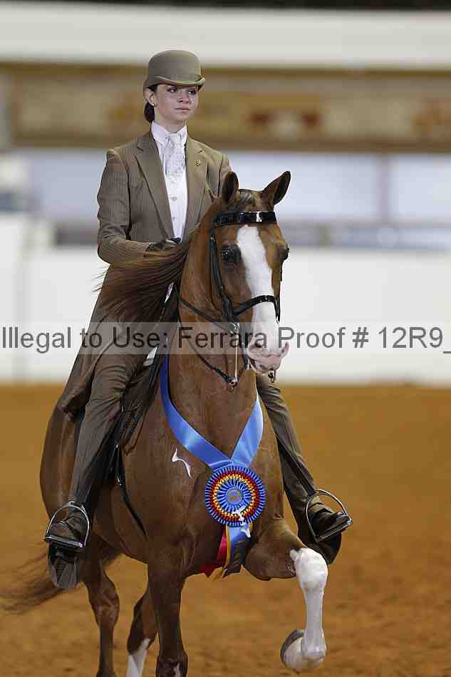 Proof Number 12r9_3927