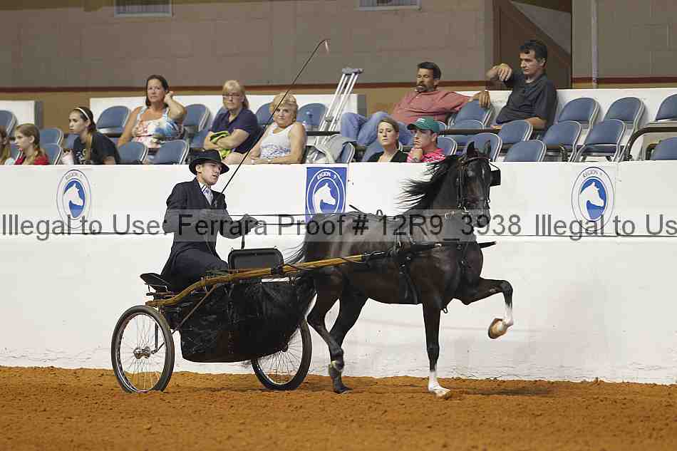 Proof Number 12r9_3938