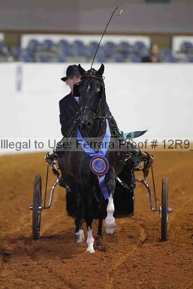Proof Number 12r9_3949