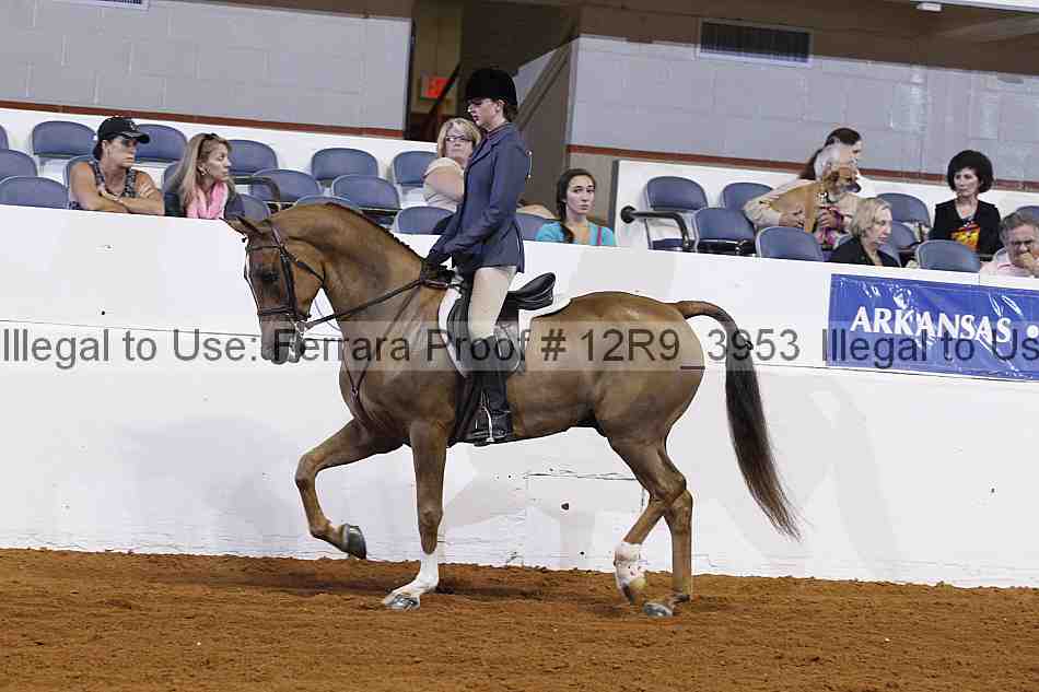 Proof Number 12r9_3953