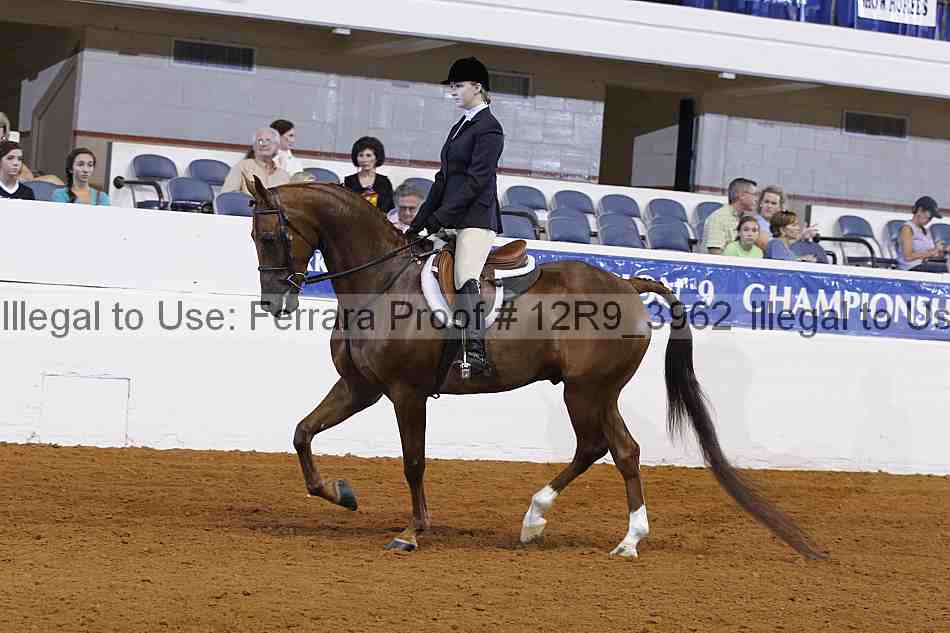 Proof Number 12r9_3962