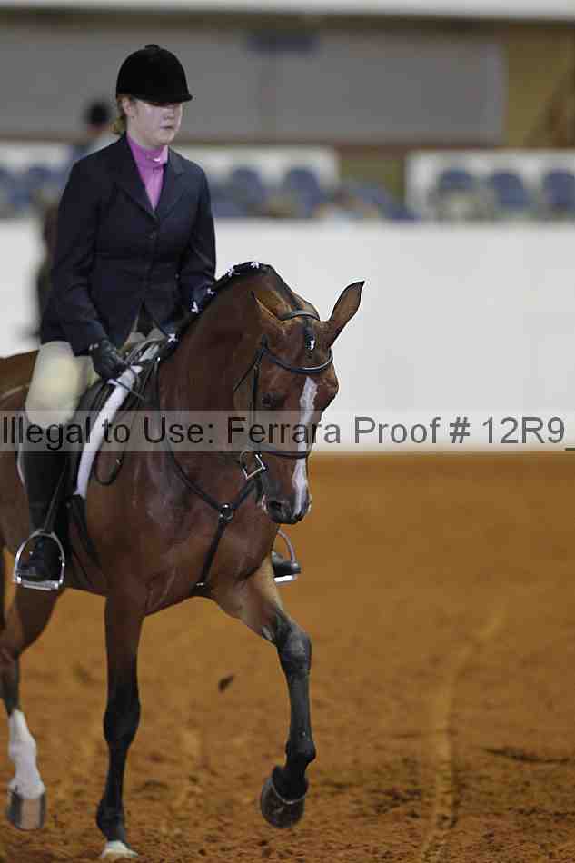 Proof Number 12r9_3975
