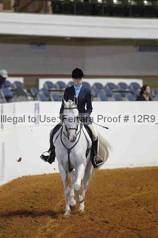 Proof Number 12r9_3980