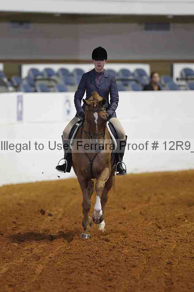 Proof Number 12r9_3987
