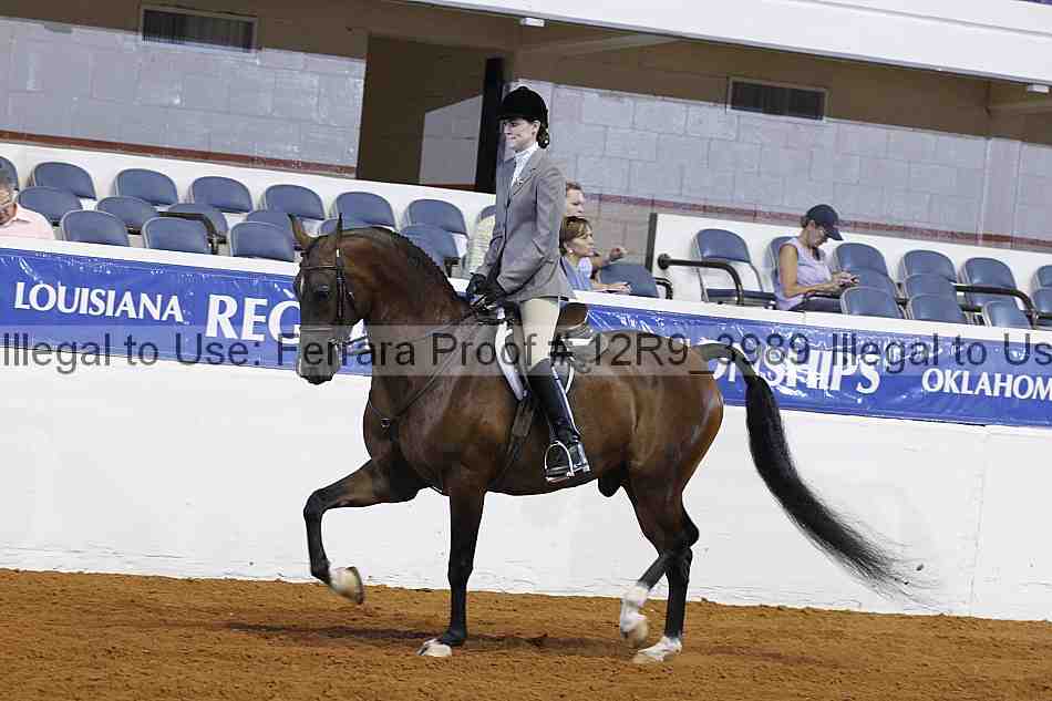 Proof Number 12r9_3989