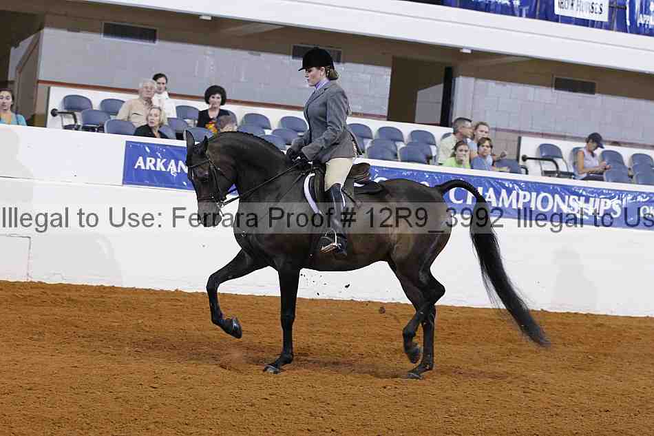 Proof Number 12r9_3992
