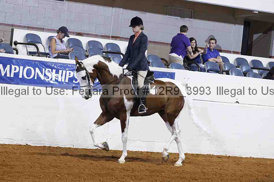 Proof Number 12r9_3993