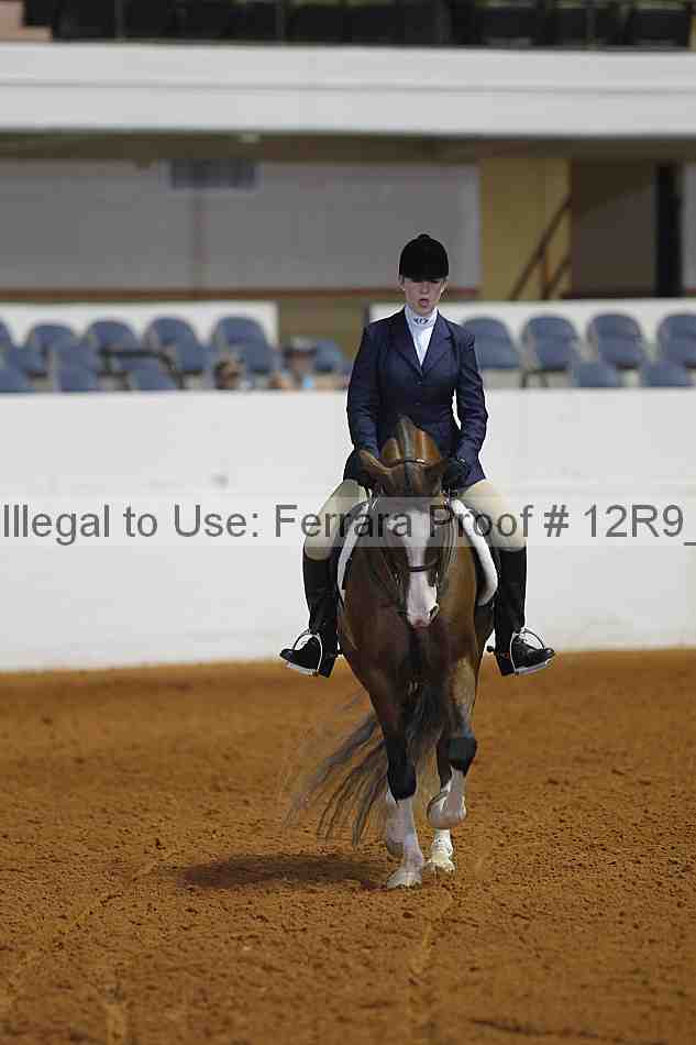Proof Number 12r9_3995