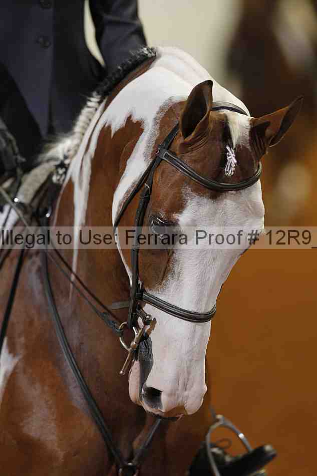 Proof Number 12r9_4001