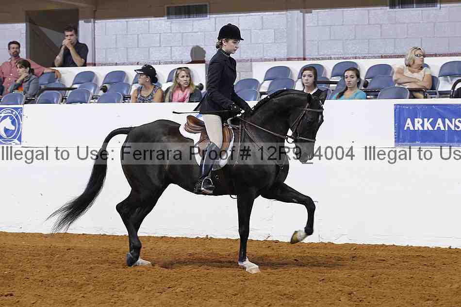 Proof Number 12r9_4004