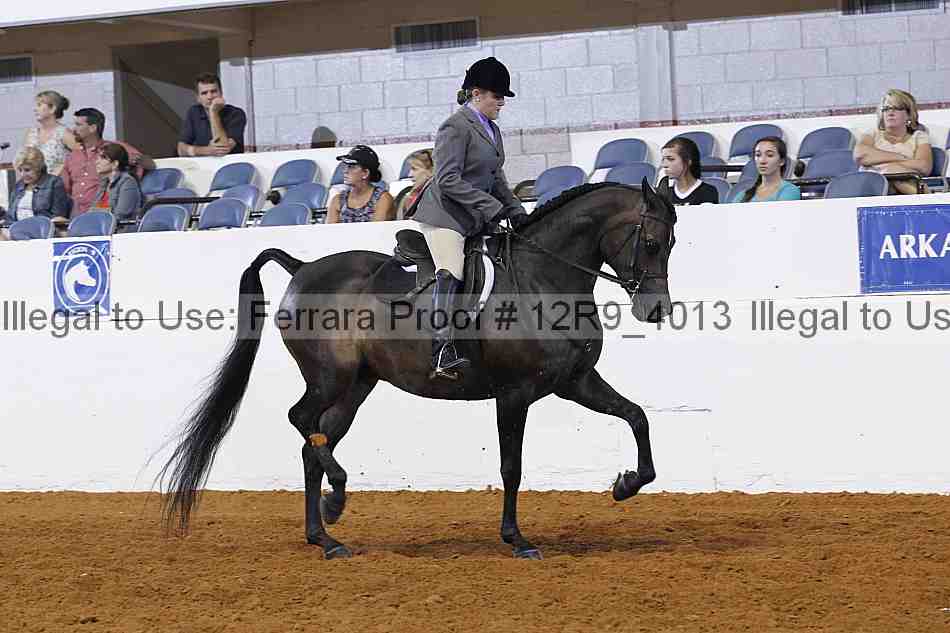 Proof Number 12r9_4013