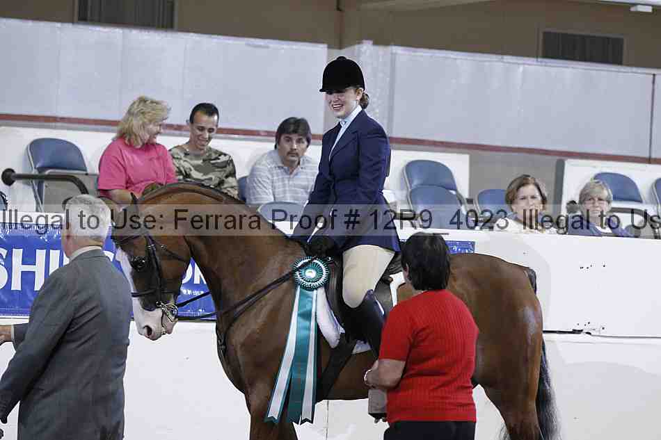 Proof Number 12r9_4023