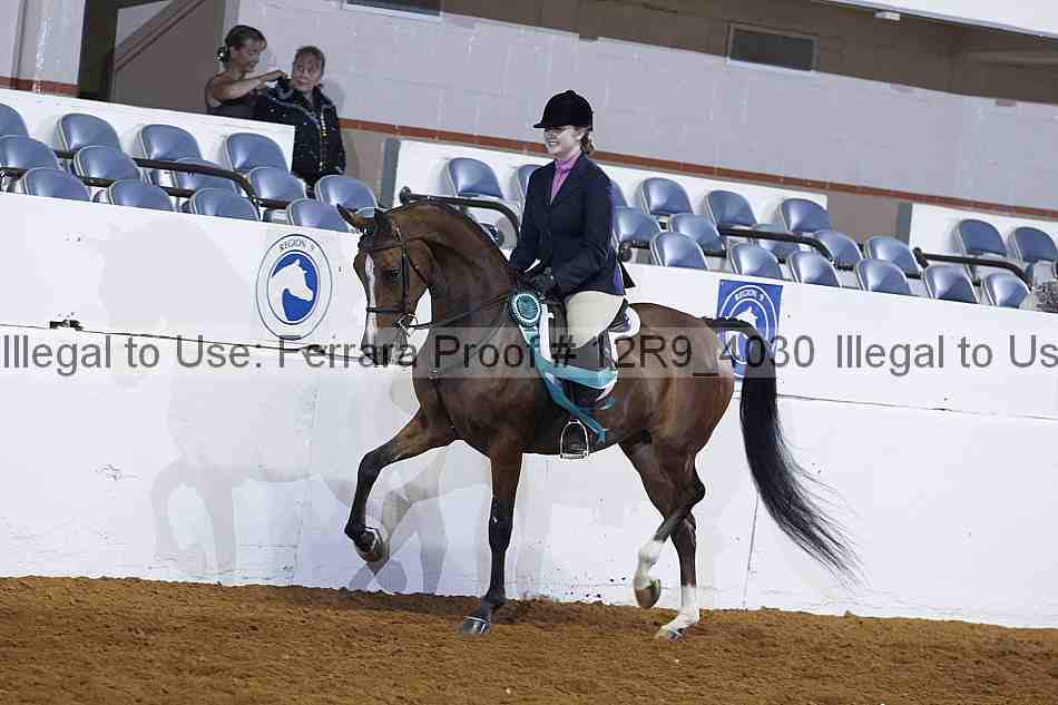 Proof Number 12r9_4030