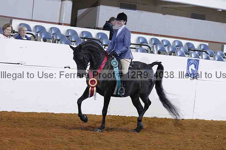 Proof Number 12r9_4038