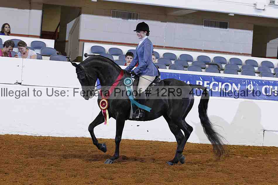 Proof Number 12r9_4041