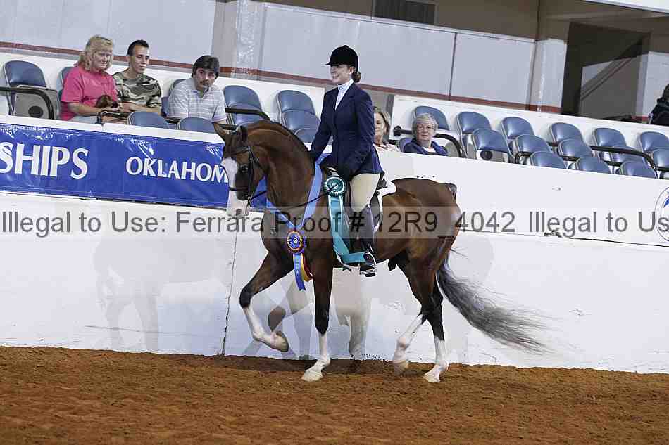 Proof Number 12r9_4042