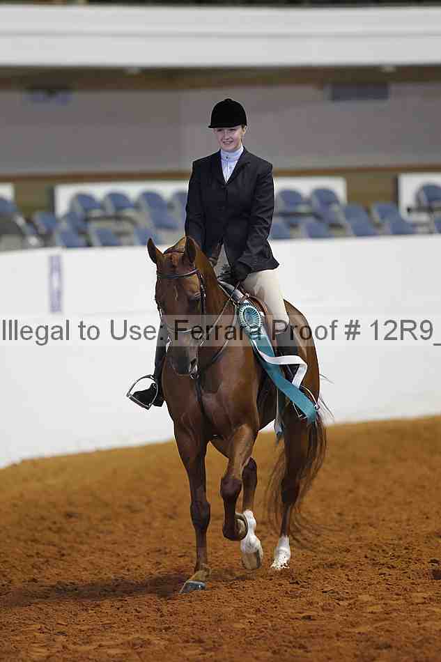 Proof Number 12r9_4046