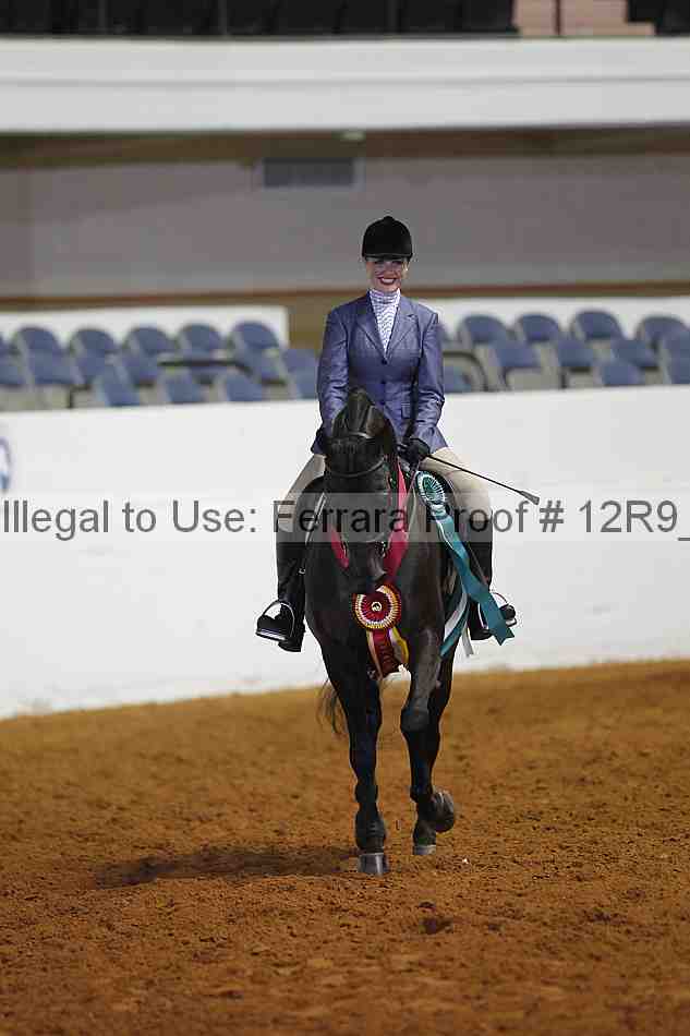 Proof Number 12r9_4047