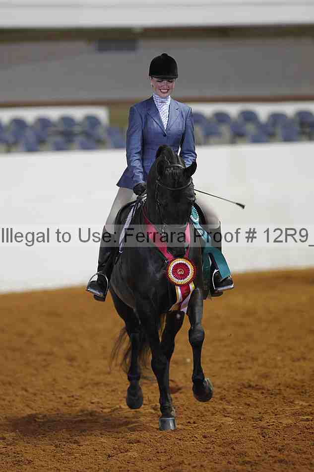 Proof Number 12r9_4048
