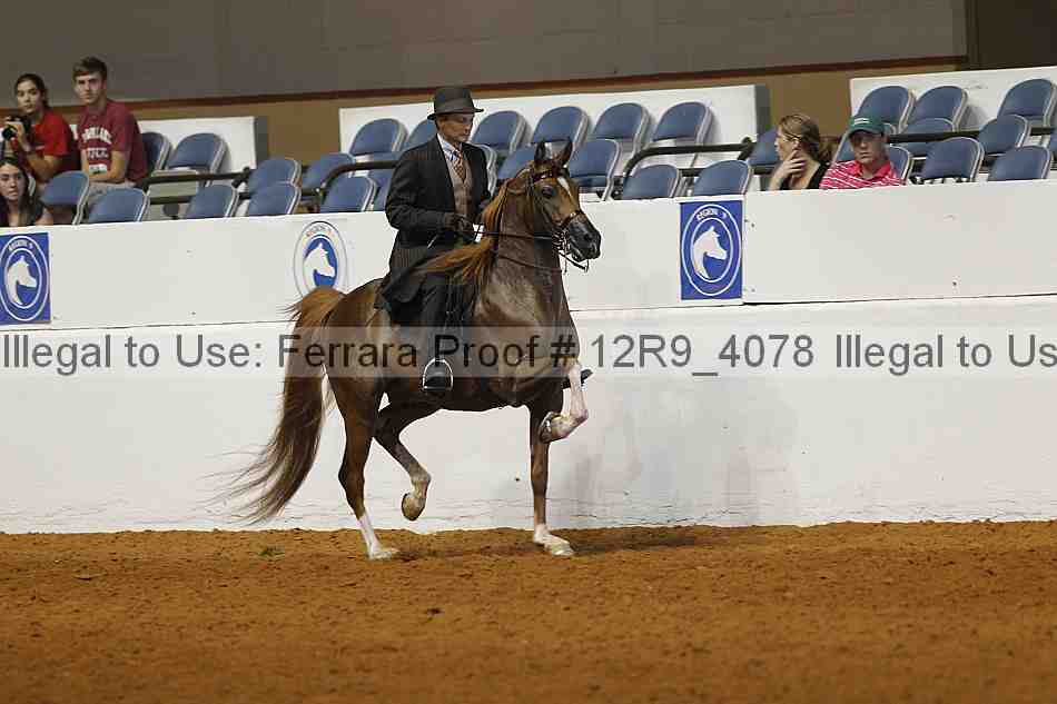 Proof Number 12r9_4078