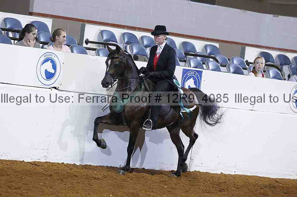 Proof Number 12r9_4085