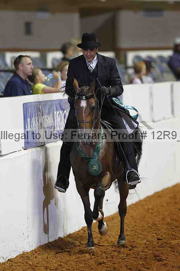 Proof Number 12r9_4090