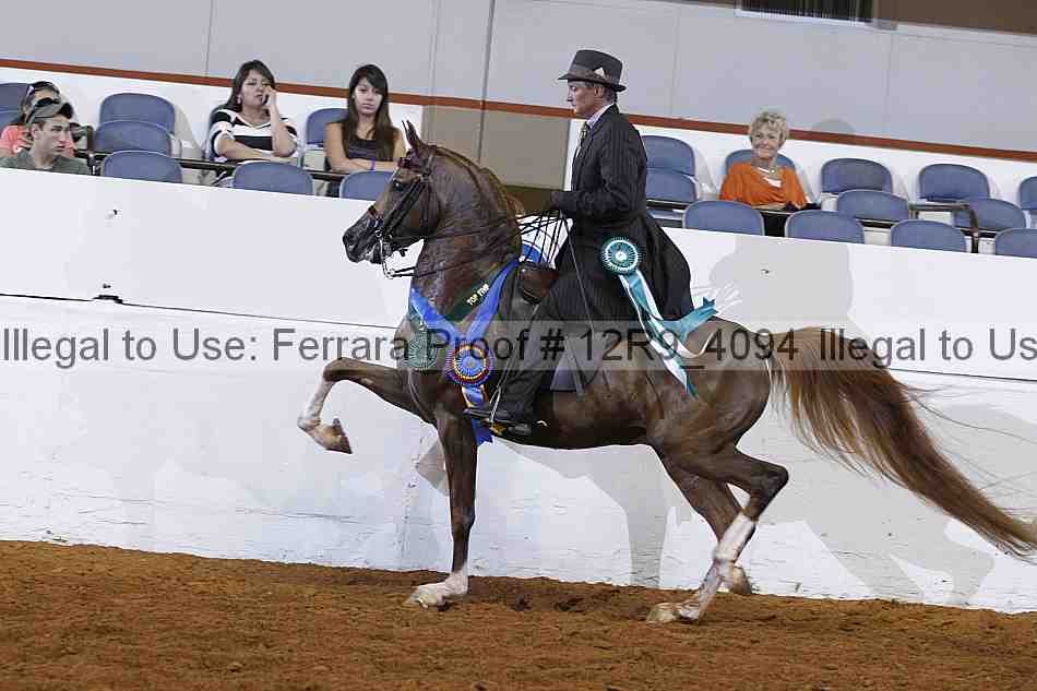 Proof Number 12r9_4094