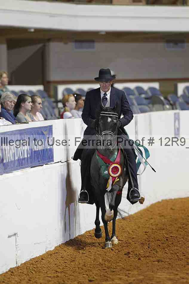 Proof Number 12r9_4095