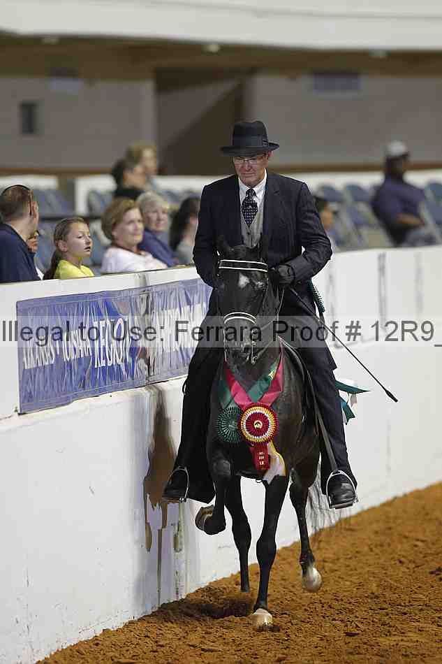 Proof Number 12r9_4096