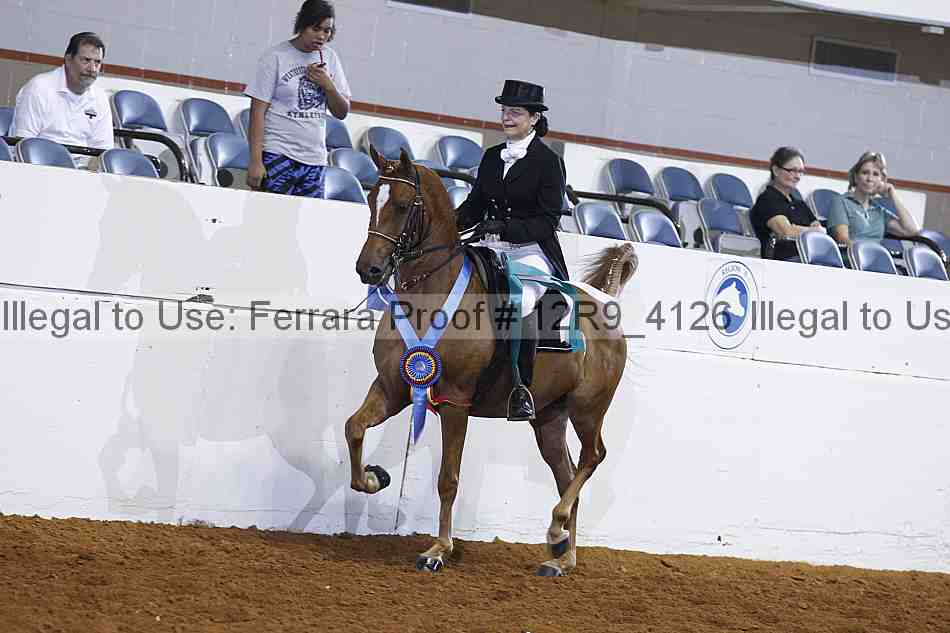 Proof Number 12r9_4126