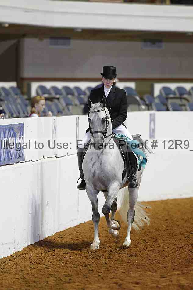 Proof Number 12r9_4130