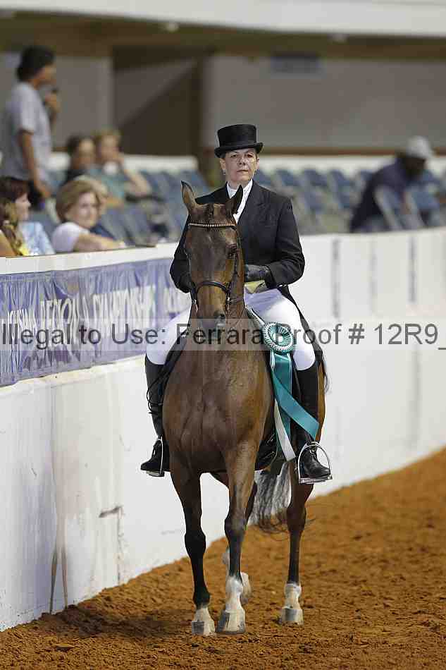 Proof Number 12r9_4132