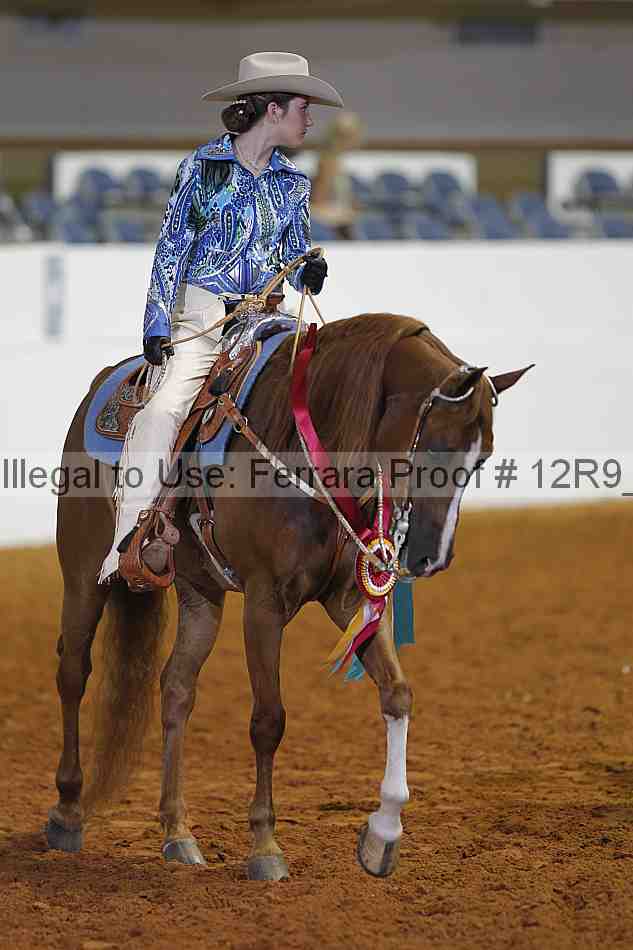 Proof Number 12r9_4143