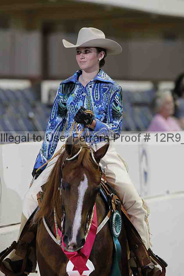 Proof Number 12r9_4156